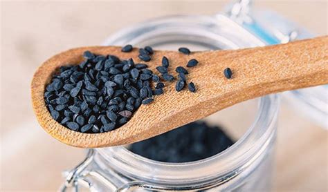  Flaxseed: Biyolojik Katkılar İçin Doğal Bir Hazine mi, Yoksa İhtiyaç Duyduğu Tek Şey Fazla Güneş mi?