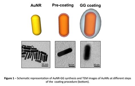  Permanganate Nanorods İçin Yeni Bir Devre Çağı mı Başlıyor? Elektronik Uygulamalarında Devrim Yaratacak Potansiyel!